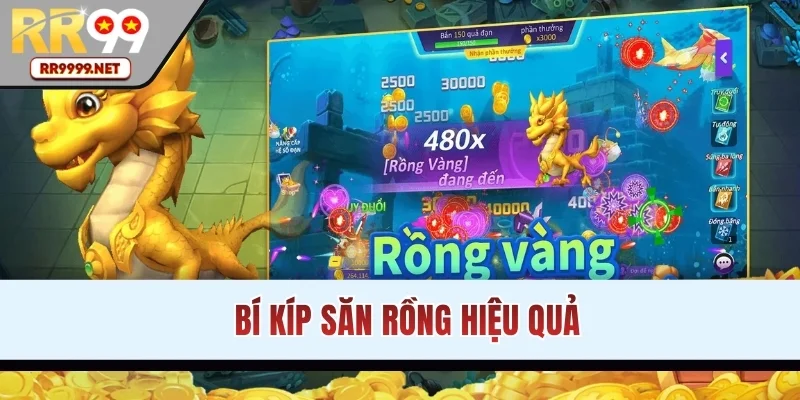 Bí kíp săn cá thần rồng hiệu quả