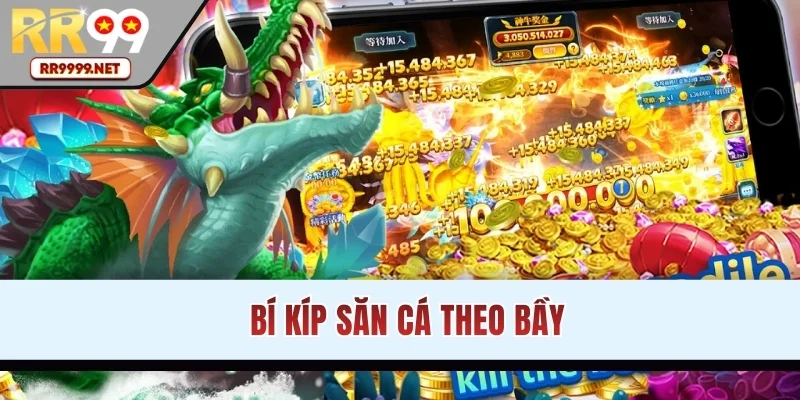 Chia sẻ bí kíp săn cá theo bầy hiệu quả