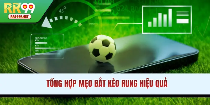 Tổng hợp mẹo bắt kèo Rung hiệu quả